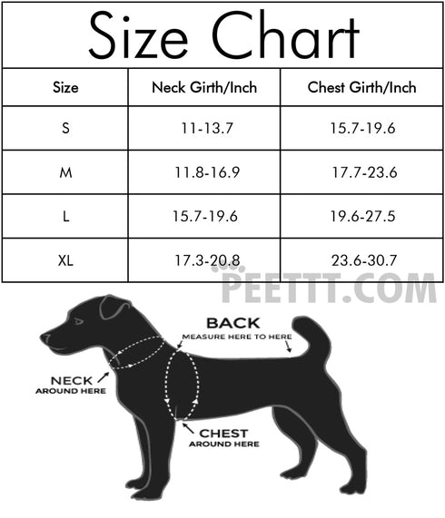 Cowboy Rider Christmas Style Dog Costume