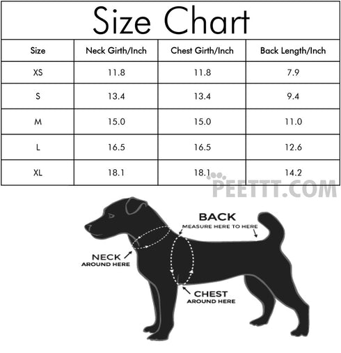 Cute Dot Jean Pet Dress for Dog