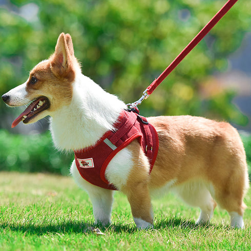 Vest Harness for Small and Medium Dogs