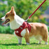 Vest Harness for Small and Medium Dogs