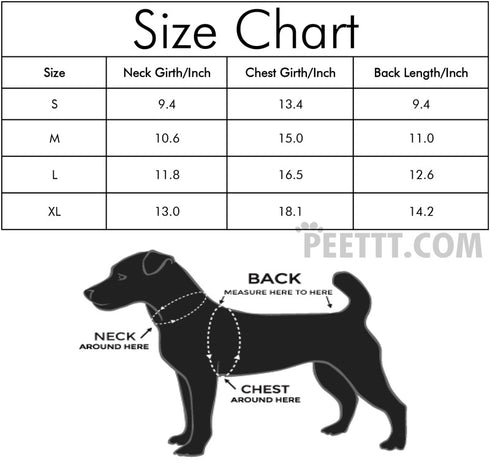 Dog Blue Dresses Party Birthday Pet Apparel