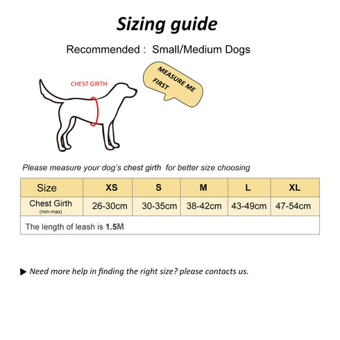 Dog Reflective Harnesses and Dog Leash