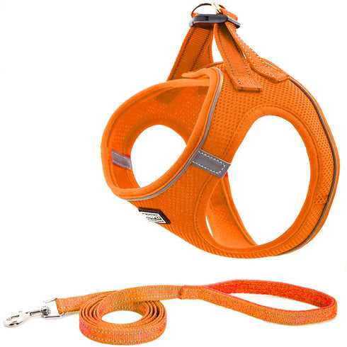 Dog Harnesses with Handle for Outdoor Training