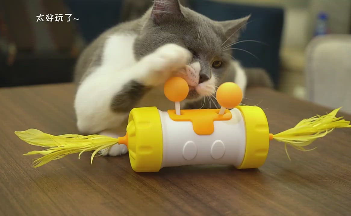 Cat Turntable Slow Feeder Cat Feather Toys Reduces Whisker Fatigue